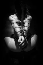 Le shibari : art japonais du bondage — guide complet